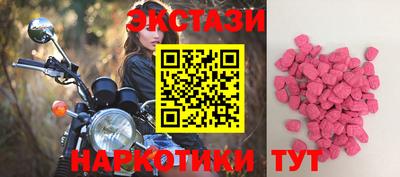 крисы Славгород