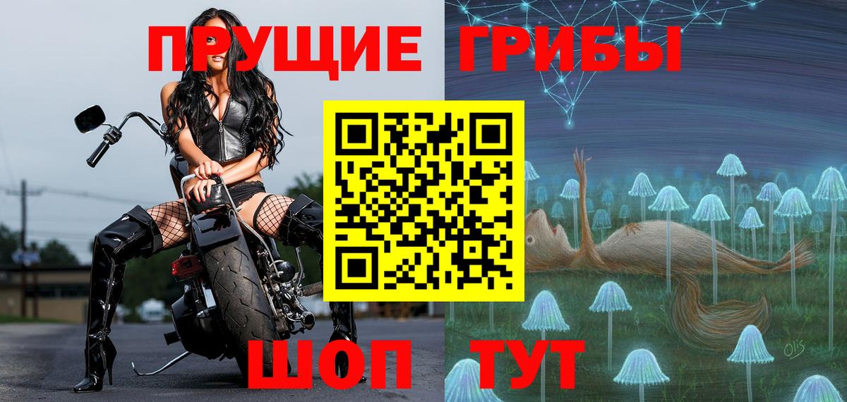 Нальчик  Галлюциногенные грибы мухоморы  Вход с VPN 